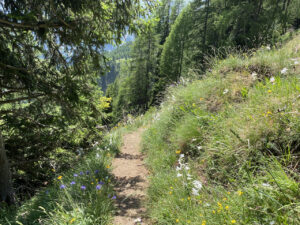 Wanderleiterin Binntal, Wallis, Schweiz