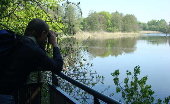 Vögel beobachten auf geführter Wanderung