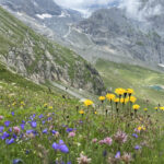 Wandertage im Lauterbrunnental