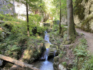 Geführte Wanderung durch die Tüfelsschlucht