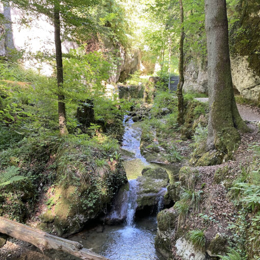 Geführte Wanderung durch die Tüfelsschlucht