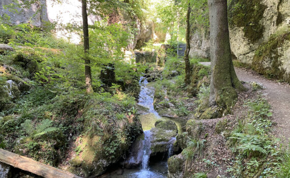 Geführte Wanderung durch die Tüfelsschlucht