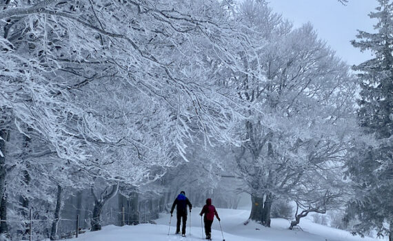 Schneeschuhwandern im Jura