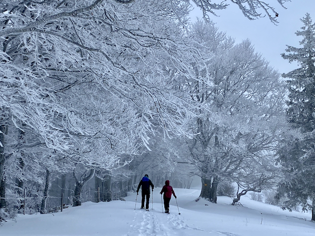 Schneeschuhwandern im Jura