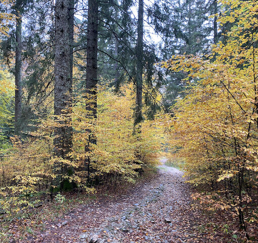 Herbstwanderungen mit Wander-Plausch