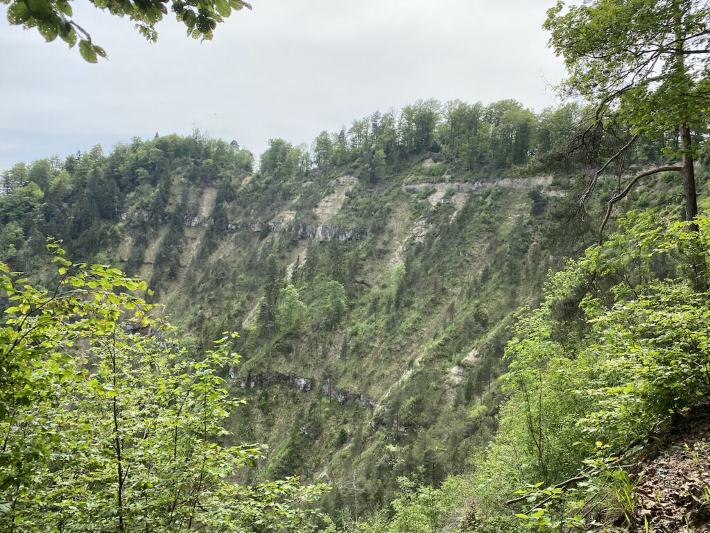 Mit Wander-Plausch zur Fallätsche am Uetliberg