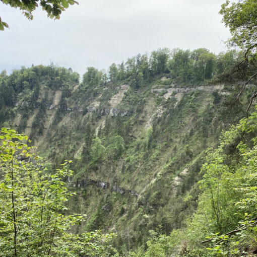 Herstliche Wanderung auf den Uetliberg