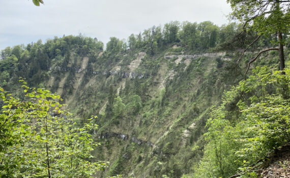 Herstliche Wanderung auf den Uetliberg