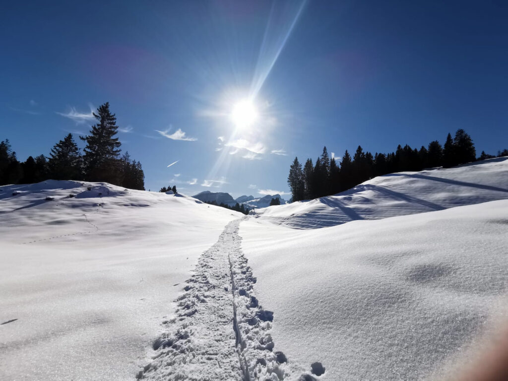 Schneeschuh-Genuss auf der Melchsee Frutt mit Wander-Plausch