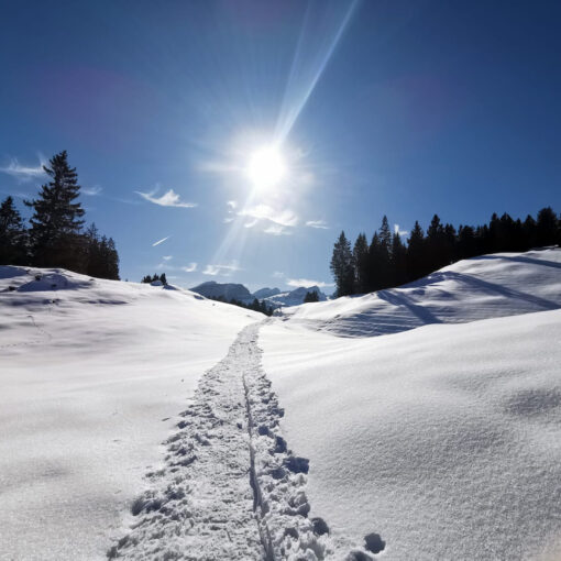 Schneeschuhwandern mit Wandere-Plausch