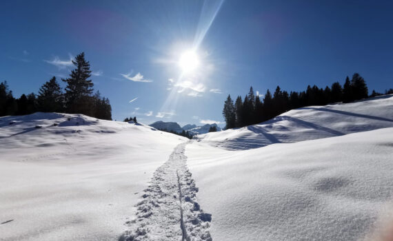 Schneeschuhwandern mit Wandere-Plausch