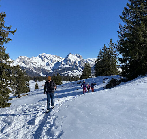 Geführte Scheeschuhtouren mit Wander-Plausch