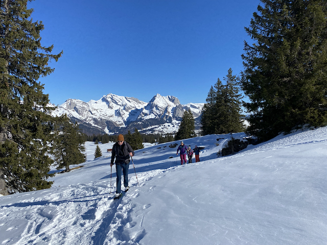 Geführte Scheeschuhtouren mit Wander-Plausch