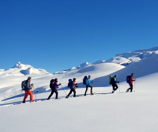 Geführte Schneesshuhtouren mit Wander-Plausch