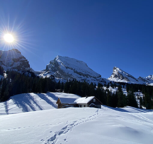 Schneeschuh-Woche im Toggenburg mit Wander-Plausch