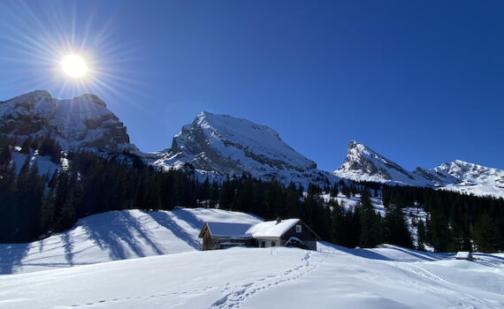 Schneeschuh-Woche im Toggenburg mit Wander-Plausch