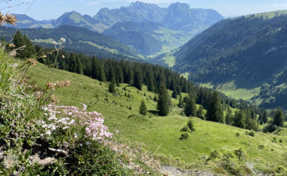 Wanderung im Toggenburg mit Wander-Plausch