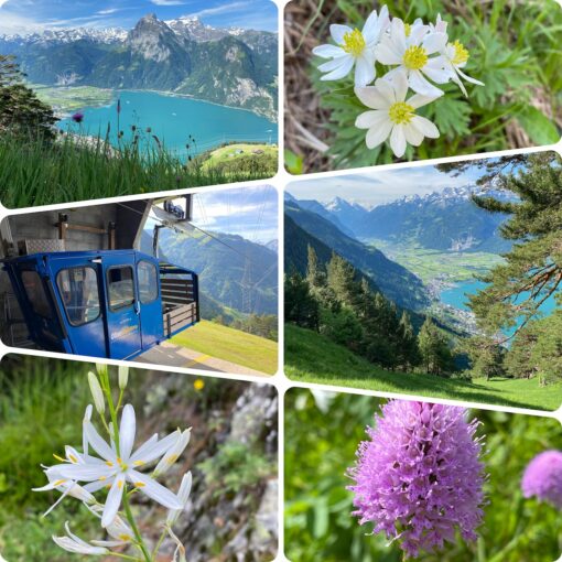 Wandern auf dem Wildheuerpad mit Wander-Plausch
