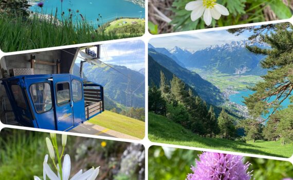 Wandern auf dem Wildheuerpad mit Wander-Plausch