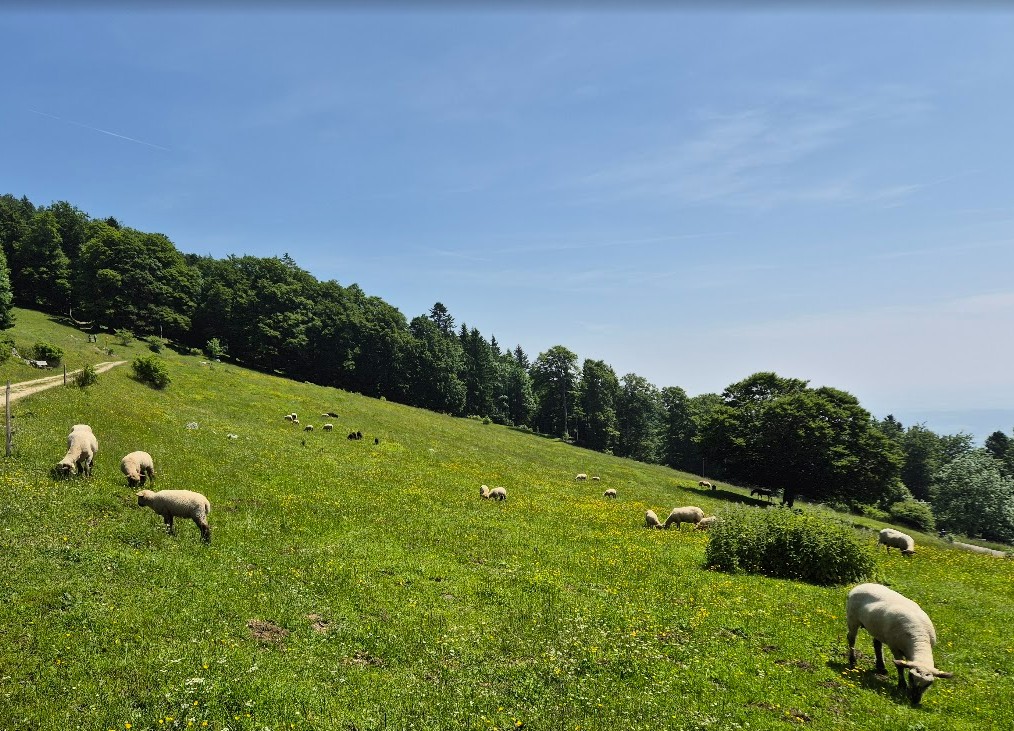 wanderung gutes bergrestaurant jura