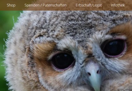 schulreisewanderung mittelland